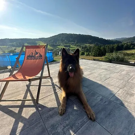 Ferienhaus Widokovo - Relax, Cisza,widoki, Sauna & Jacuzzi Wliczone W Cene