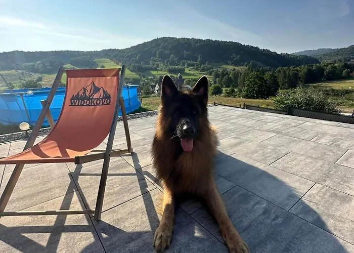 Tatil Evi Widokovo - Relax, Cisza,widoki, Sauna & Jacuzzi Wliczone W Cene