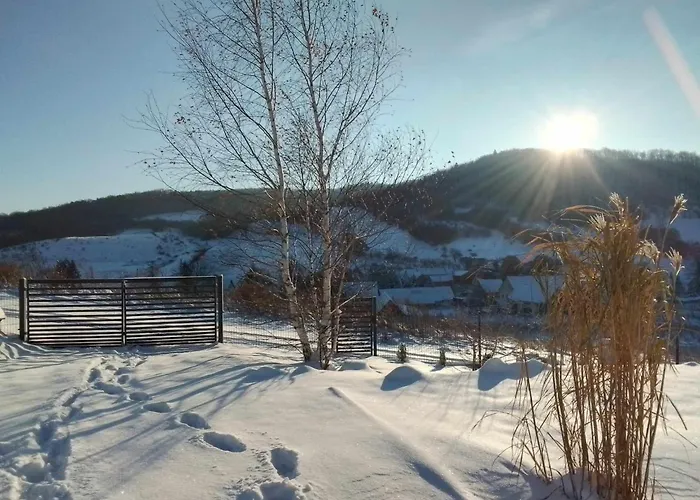 Widokovo - Relax, Cisza,widoki, Sauna & Jacuzzi Wliczone W Cene Laski (Zabkowice Slaskie)